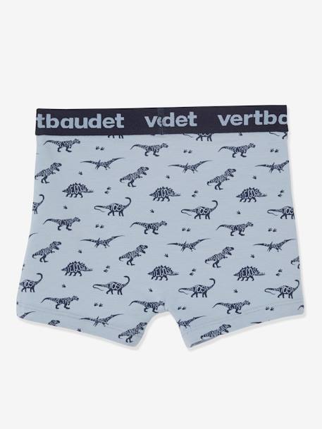 5er-Pack Jungen Boxershorts, Dinosaurier Oeko-Tex - farblich sortiert dino - 7