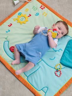 Spielzeug-Baby Activity-Decke/Meilenstein-Decke ECO+ CHICCO