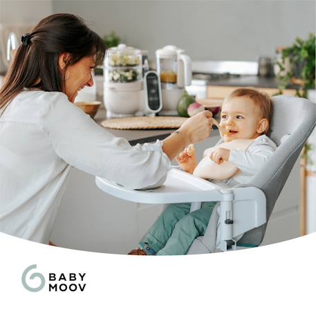 Multifunktions-Dampfgarer NUTRIBABY+ BABYMOOV - beige+grau+grün - 2