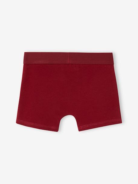 3er-Pack Jungen Boxershorts HARRY POTTER - bordeaux - 6