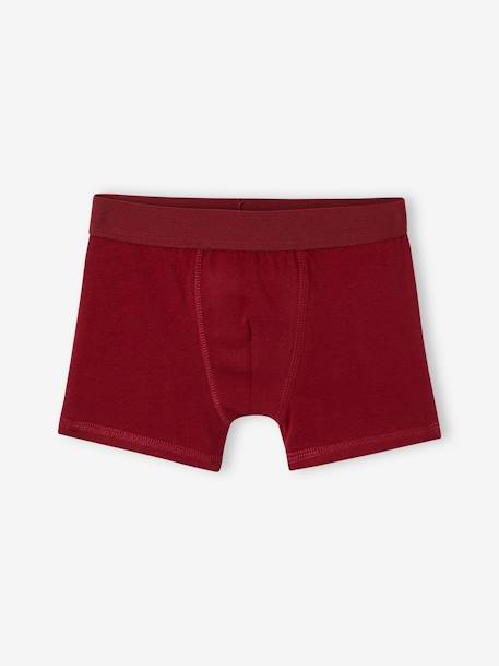 3er-Pack Jungen Boxershorts HARRY POTTER - bordeaux - 3