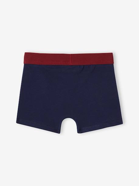 3er-Pack Jungen Boxershorts HARRY POTTER - bordeaux - 5