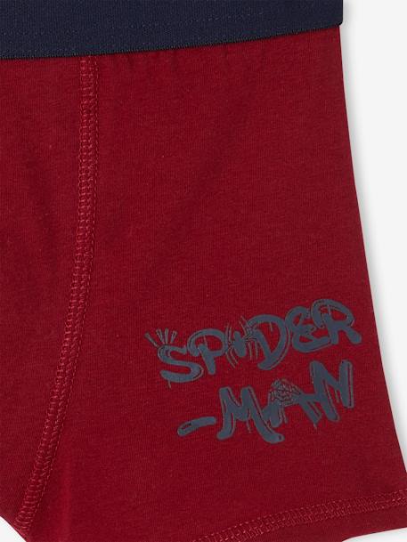 3er-Pack Jungen Boxershorts MARVEL SPIDERMAN - rot - 7