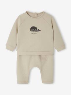 Babymode-Baby-Set: Sweatshirt & Hose