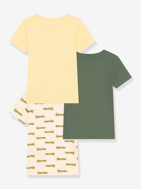 3er-Pack Kinder T-Shirts PETIT BATEAU grün 2