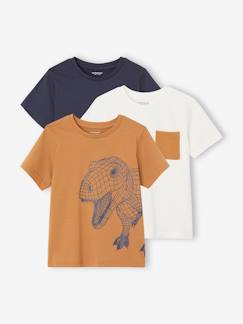 3er-Pack Jungen T-Shirts BASIC Oeko-Tex  [numero-image]