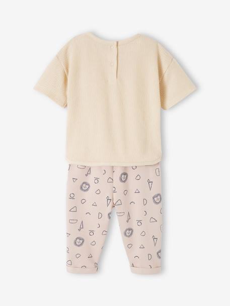 Baby-Set: T-Shirt & Joggpants Oeko-Tex - wollweiß - 6