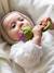 Baby Rassel mit Beißring Artischocke OLI & CAROL - grün - 4