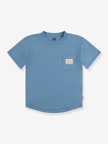 Jungen T-Shirt Levi's mit Bio-Baumwolle graublau+lavandel 1