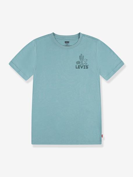 Jungen T-Shirt mit Print Levi's, Bio-Baumwolle mandelgrün 1