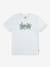 Jungen T-Shirt mit Print Levi's, Bio-Baumwolle graublau 1