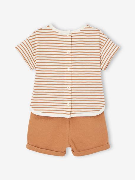 Baby-Set: T-Shirt, Shorts & Sonnenhut - cappuccino - 5