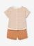 Baby-Set: T-Shirt, Shorts & Sonnenhut - cappuccino - 5
