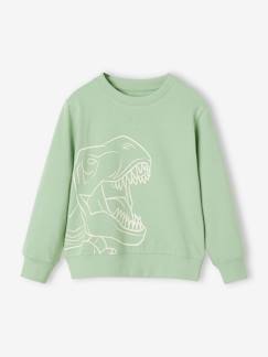 Jungenkleidung-Pullover, Strickjacken, Sweatshirts-Sweatshirts-Jungen Sweatshirt mit Print BASIC Oeko-Tex