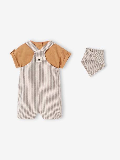 Baby-Set: Latz-Shorts, T-Shirt & Halstuch - anthrazit - 5