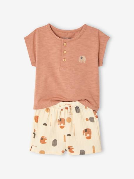 Baby-Set: T-Shirt & Shorts mintgrün+mokka 9