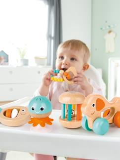 Spielzeug-Mitwachsendes Baby Spielzeug-Set HAPE