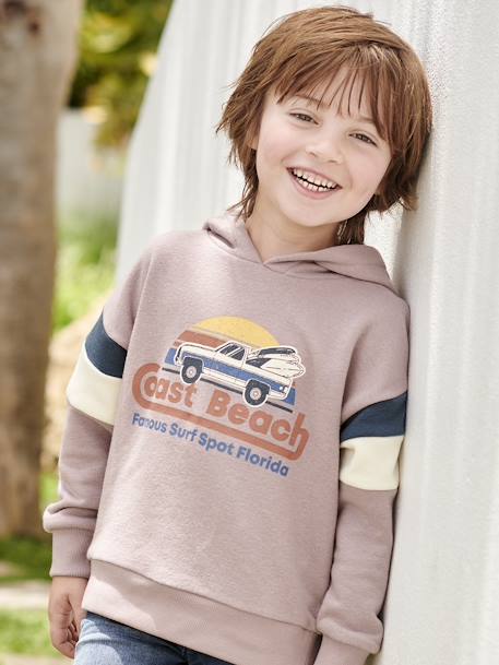 Jungen Kapuzensweatshirt mit Colorblock-Ärmeln Oeko-Tex graublau+malve+moosgrün+weiß meliert 4