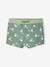 Jungen Baby Badehose mit Gecko-Print Oeko-Tex - moosgrün - 1