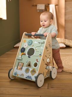 Spielzeug-Baby-Schaukeltiere, Lauflernwagen, Lauflernhilfe & Rutschfahrzeuge-Activity-Lauflernwagen mit Bremsen, Holz FSC®