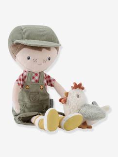 Spielzeug-Baby-Baby Stoffpuppe Jim mit Huhn LITTLE DUTCH