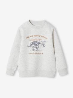 Jungenkleidung-Jungen Sweatshirt mit Print, Recycling-Polyester Basic