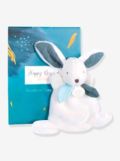 Spielzeug-Baby-Kuscheltiere & Stofftiere-Baby Schmusetuch Happy DOUDOU ET COMPAGNIE 17 cm