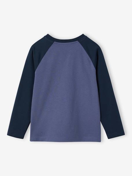 Jungen Shirt, Raglanärmel Oeko-Tex blau+grau meliert+moosgrün+pekannuss+schieferblau 16