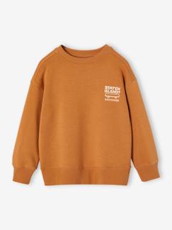 Jungenkleidung-Jungen Sweatshirt BASIC Oeko-Tex