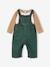 Jungen Baby-Set: Shirt & Latzhose aus Baumwolle tannengrün 2