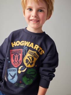 Jungenkleidung-Pullover, Strickjacken, Sweatshirts-Jungen Sweatshirt mit Wappen HARRY POTTER