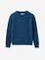 Jungen Strickpullover aus Merinowolle CYRILLUS blau 1