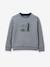 Jungen Sweatshirt mit Skater-Print CYRILLUS grau meliert 1