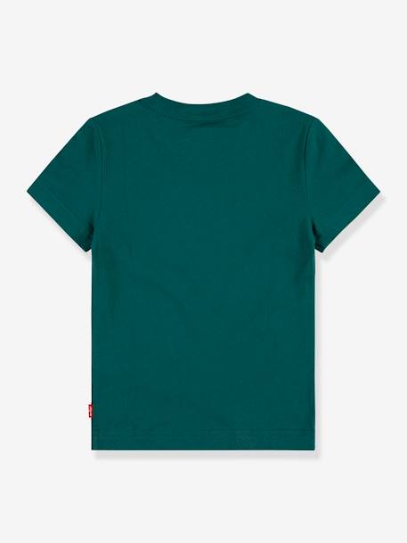 Jungen T-Shirt Batwing Levi's tannengrün 2