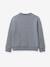 Jungen Sweatshirt mit Skater-Print CYRILLUS grau meliert 2