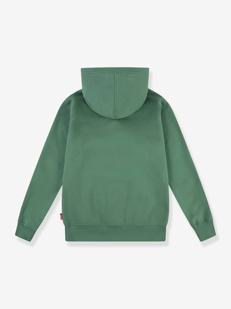 Kinder Kapuzensweatshirt LVB Lasso it up Hoodie Levi's grün 2