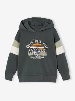 Jungenkleidung-Pullover, Strickjacken, Sweatshirts-Sweatshirts-Jungen Kapuzensweatshirt mit Colorblock-Ärmeln Oeko-Tex