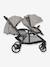 Geschwister-Kinderwagen EVALITE DUO JOIE grau+schwarz 3