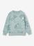 Jungen Sweatshirt PAW PATROL aqua 1