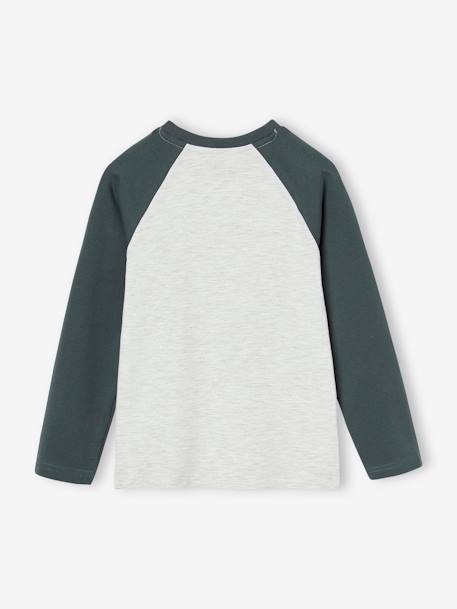 Jungen Shirt, Raglanärmel Oeko-Tex blau+grau meliert+moosgrün+pekannuss+schieferblau 8