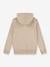 Jungen Kapuzensweatshirt LVB Mini Batwing Hoodie Levi's beige 2