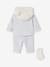 Jungen Baby-Set: Sweatshirt, Hose & Socken himmelblau 5