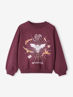 Maedchenkleidung-Pullover, Strickjacken & Sweatshirts-Sweatshirts-Mädchen Sweatshirt mit Hedwig und Glitzer HARRY POTTER