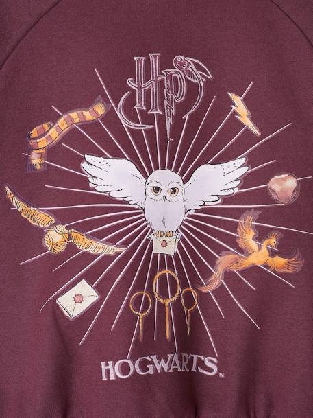 Mädchen Sweatshirt mit Hedwig und Glitzer HARRY POTTER pflaume 3