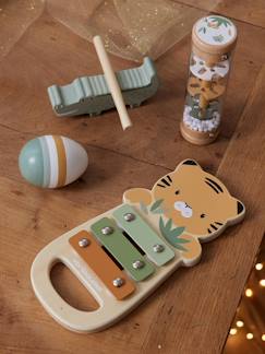 Spielzeug-4-teiliges Set Baby Musikinstrumente TANSANIA, Holz FSC®