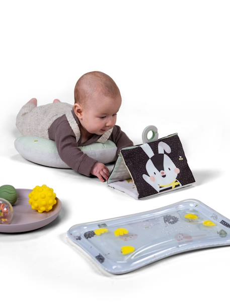 Baby-Set zum Spielen in Bauchlage TAF TOYS mehrfarbig 3