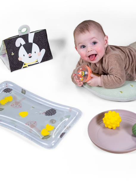 Baby-Set zum Spielen in Bauchlage TAF TOYS mehrfarbig 4