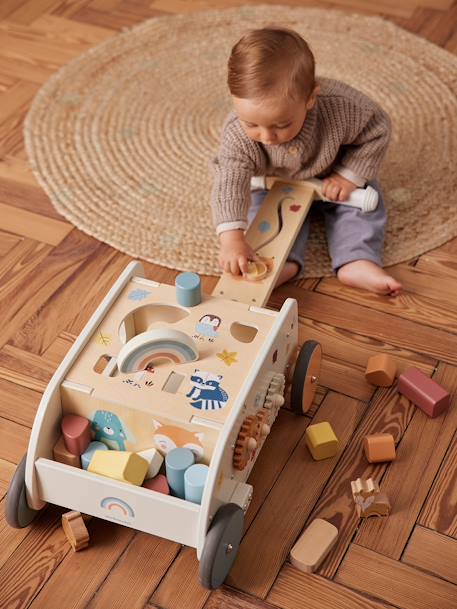 Baby 2-in-1-Lauflernwagen WALDFREUNDE aus Holz FSC® natur 4