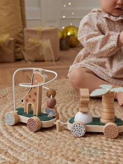 Spielzeug-Baby-Tasten & Greifen-Baby Activity-Zug TANSANIA aus Holz FSC®