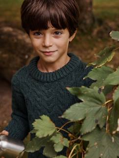 Jungenkleidung-Jungen Zopfstrickpullover Oeko-Tex